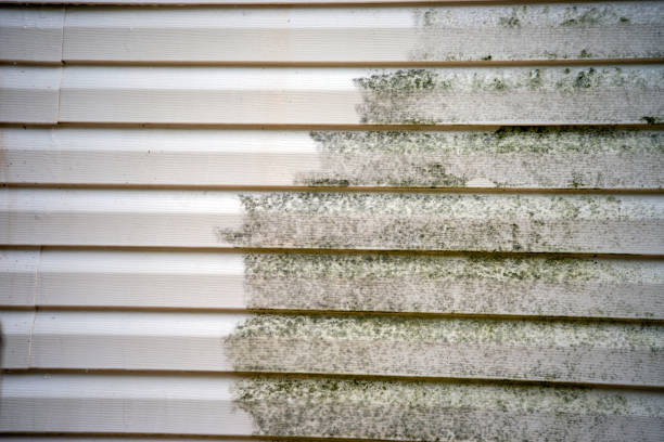 Urbana, IA Junk Removal Pros